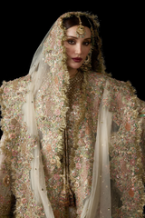 Ethereal Ivory Bridal Ensemble with Delicate Hand Embellishments